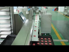 기계류 100g 비스킷 제조기를 덮는 절편된 쿠키